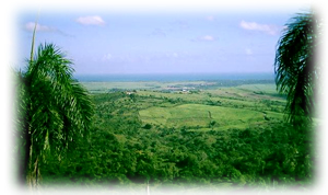 Hotel Caracol in Cabarete, Dominican Republic - Sport activities