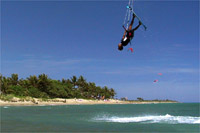 click for bigger piture